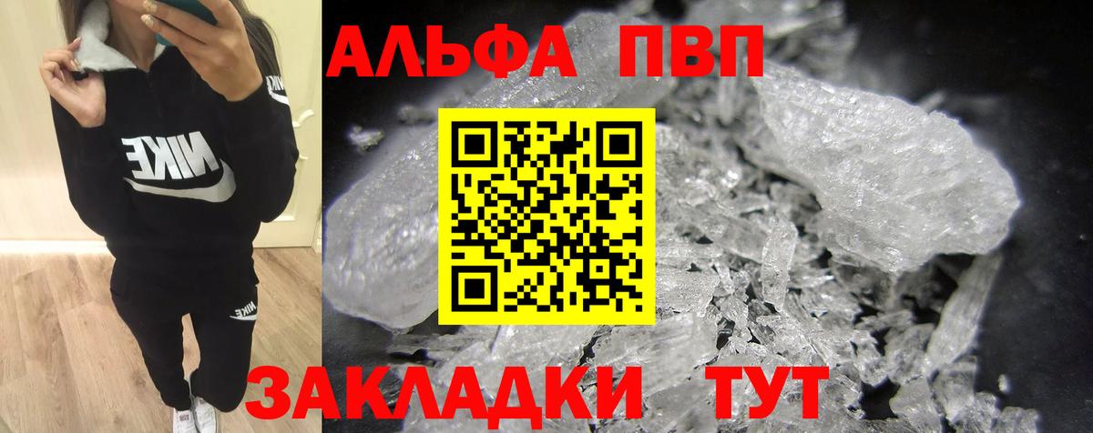 Альфа ПВП СК КРИС Котлас