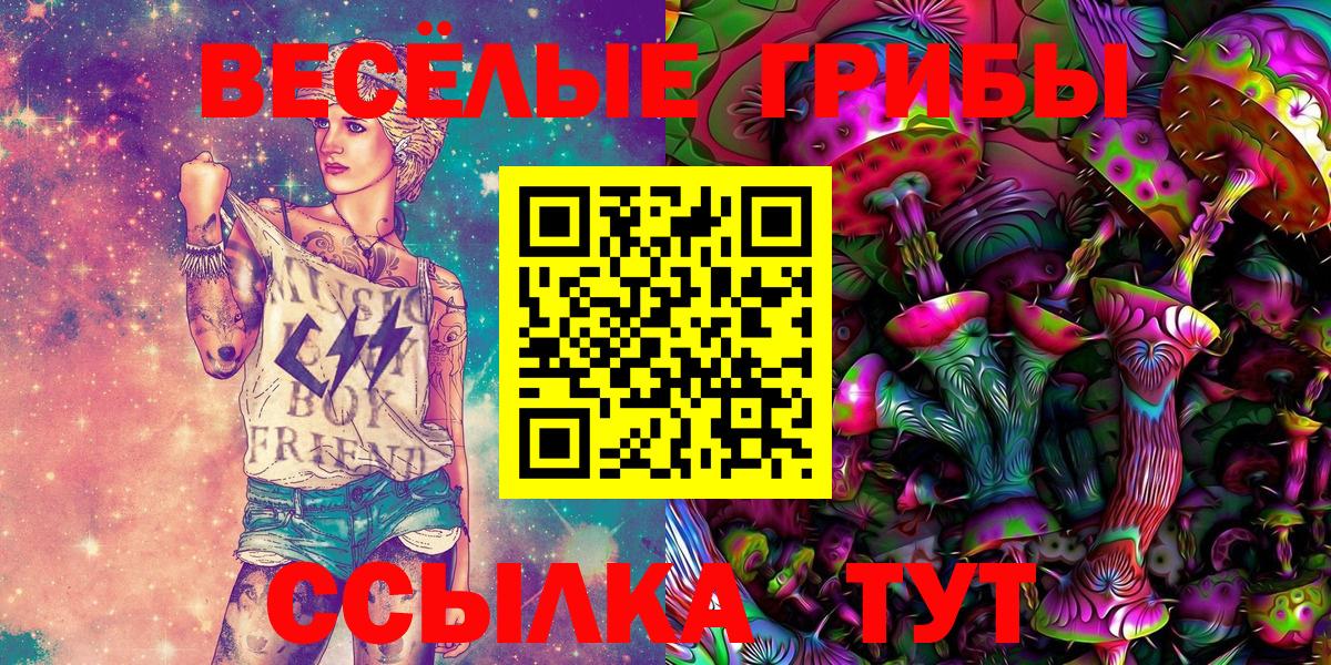 Котлас  Галлюциногенные грибы GOLDEN TEACHER  купить наркоту  Псилоцибиновые грибы прущие грибы  Вход с VPN 